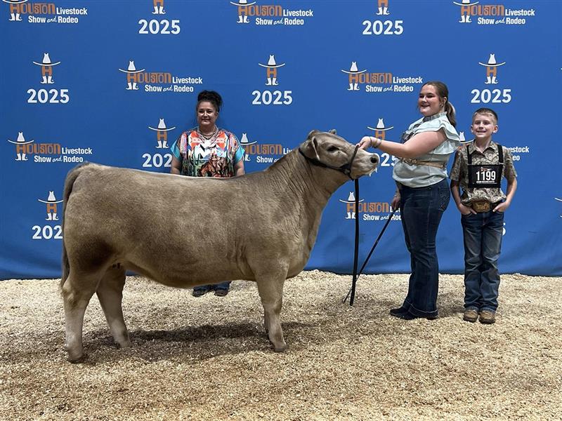 Wave 2 for our Hallsville FFA Cattle Show Team @ the Houston Livestock Show: Shane Killeen showed his Chianina, Domino, and they placed 4th in Class Kyndal McRae showed a Bred and owned Chianina, Denim Diamond, and they placed 5th in class. Savannah
